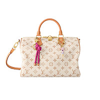 [스페셜오더]LOUIS VUITTON-M27921 루이비통 스피디 트렁크 20 (Speedy Trunk 20)